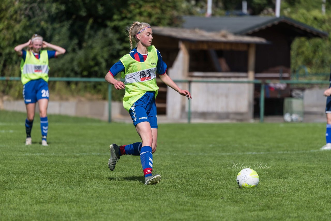 Bild 168 - B-Juniorinnen VfL Pinneberg - HSV : Ergebnis: 1:4